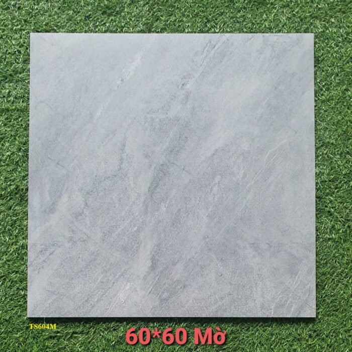 TS604M