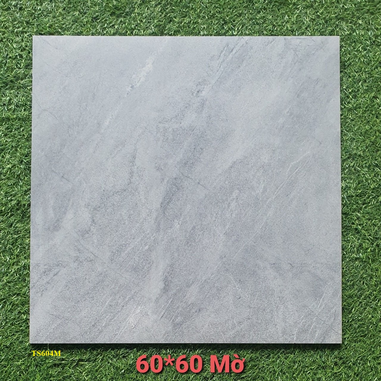 TS604M